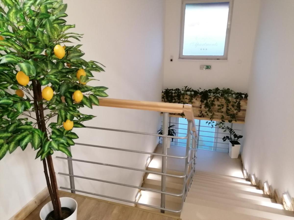 نيترا Agro Complex Apartments المظهر الخارجي الصورة
